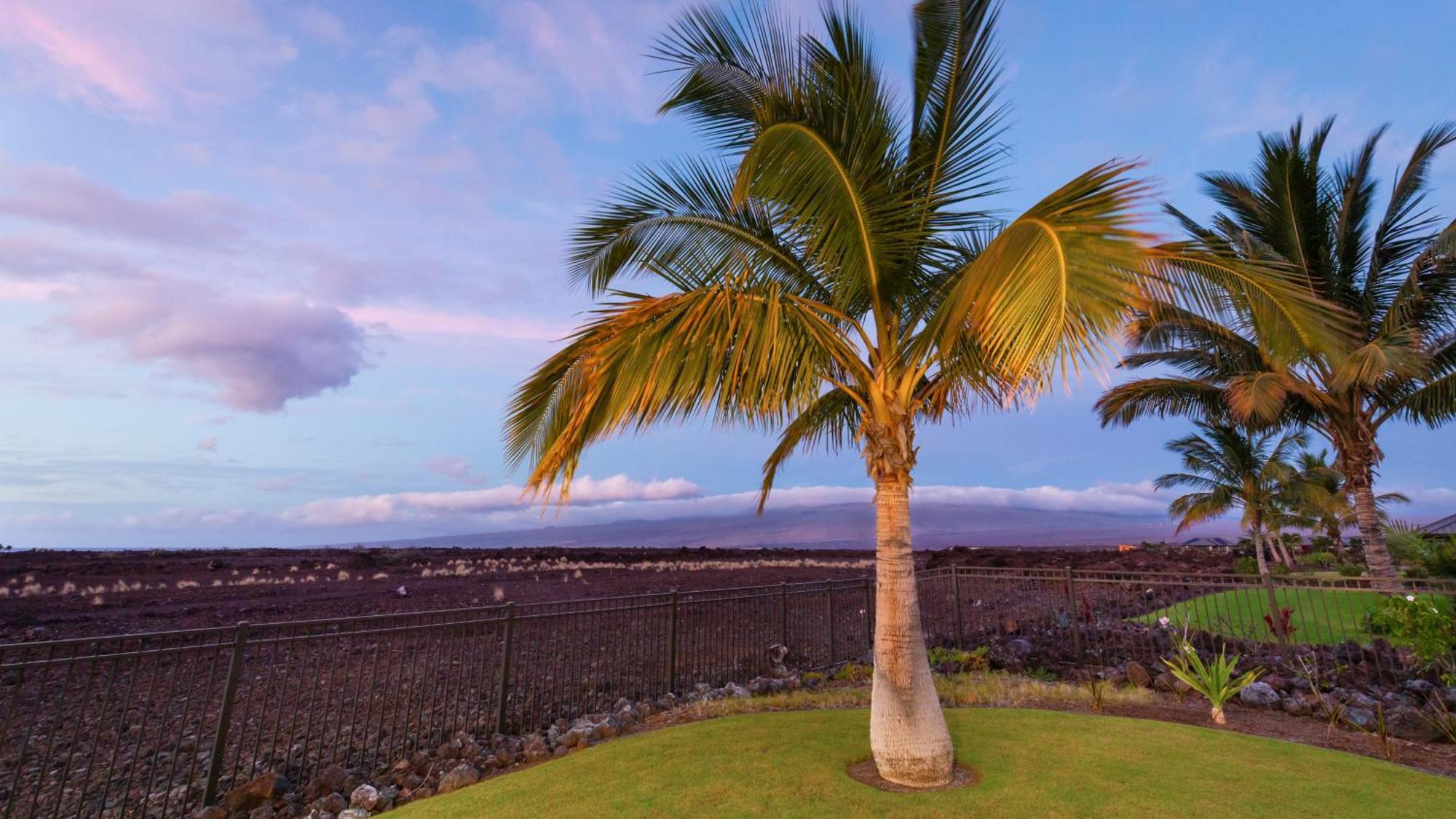 Starry Nights Dreamy 4Br Ainamalu Home With Mountain View Waikoloa Exteriör bild